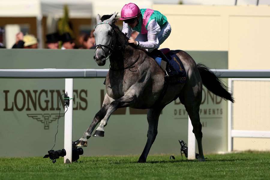 THE performance of the week at Royal Ascot has to go without a shadow of a doubt to FIELD OF GOLD (Kingman)

Made his peers look absolutely ordinary. #Hero