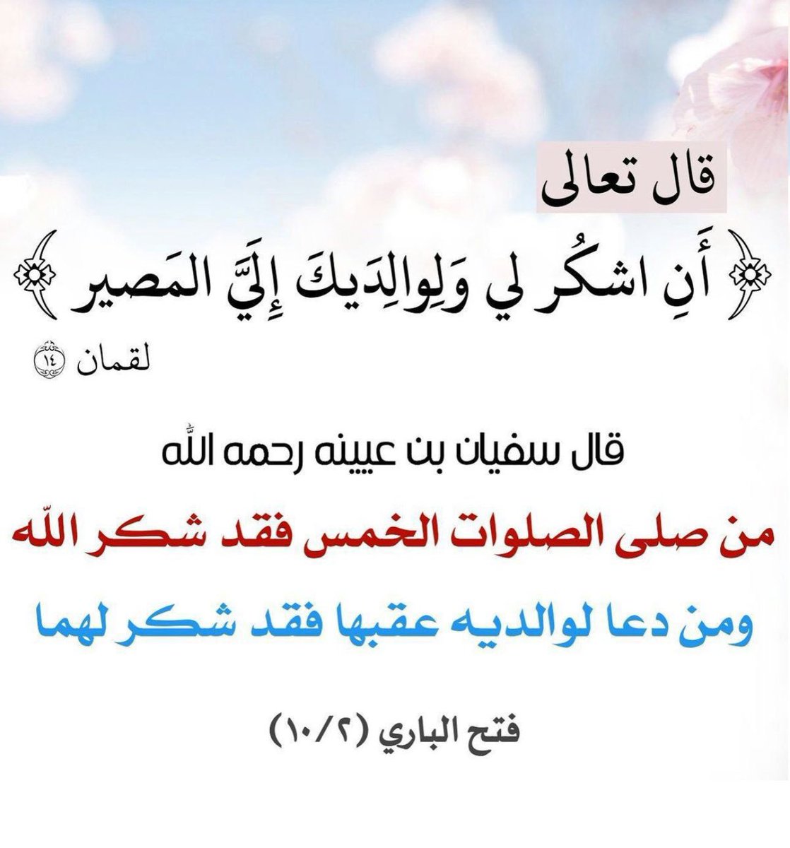 محب القرآن الكريم والسنه🇸🇦 (@waheen30) on Twitter photo 