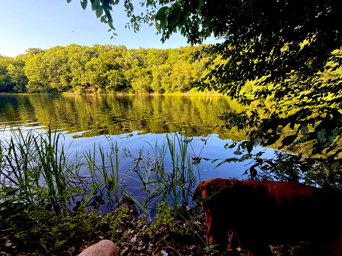 Einmal Abkühlung für Zwei- und Vierbeiner 😇