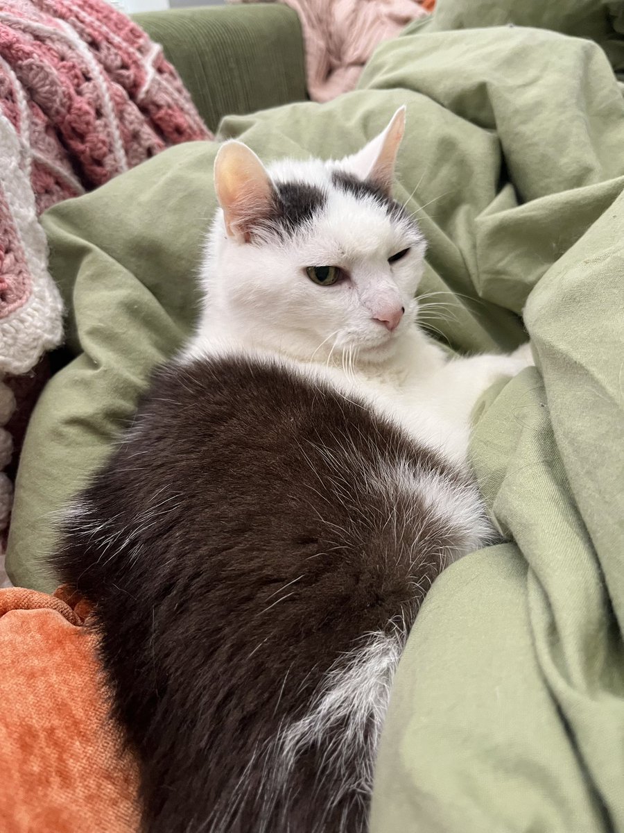 franzkatka's tweet image. never waking him up from a nap ever again jesus christ