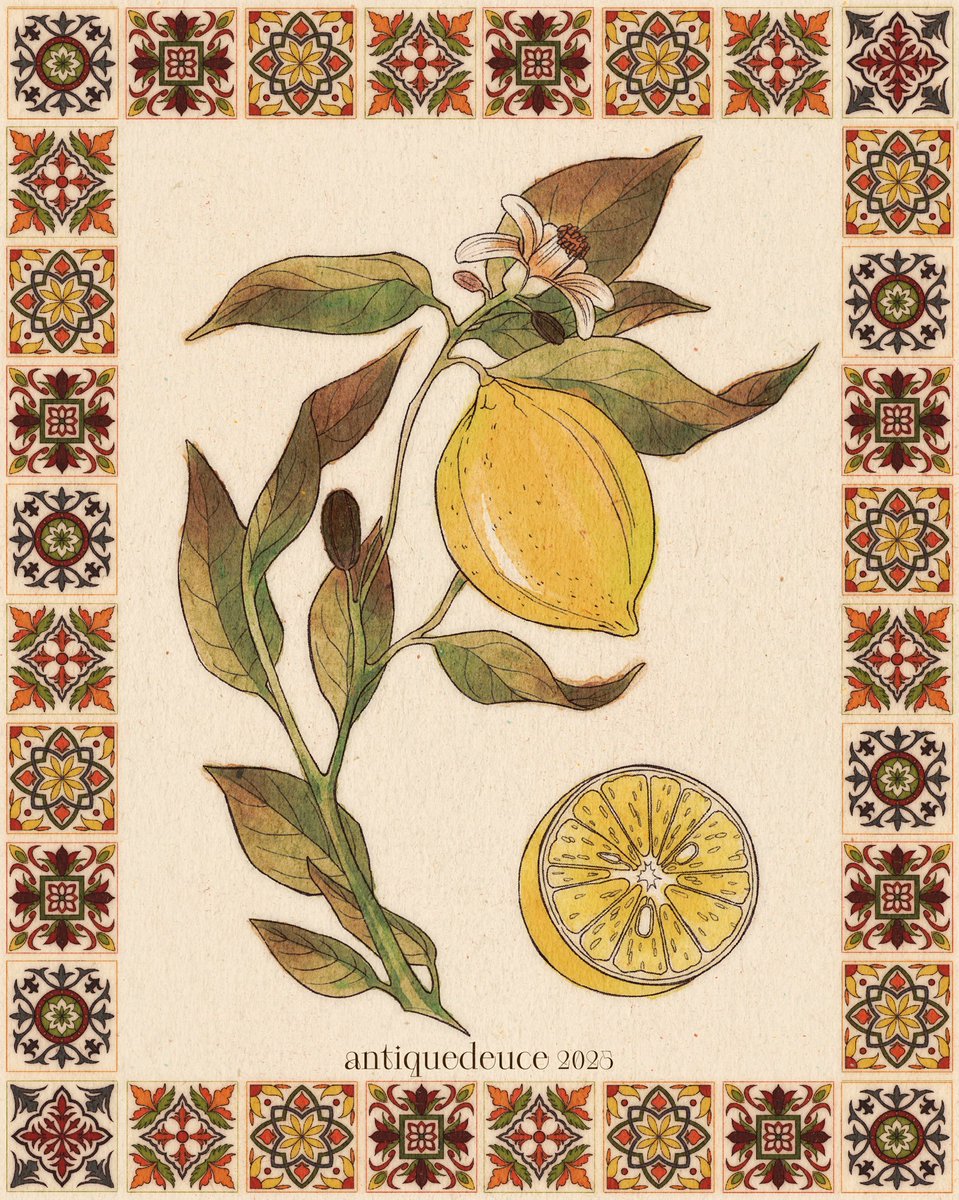 antiquedeuce's tweet image. ✹ 🍋➰🍑 ✹