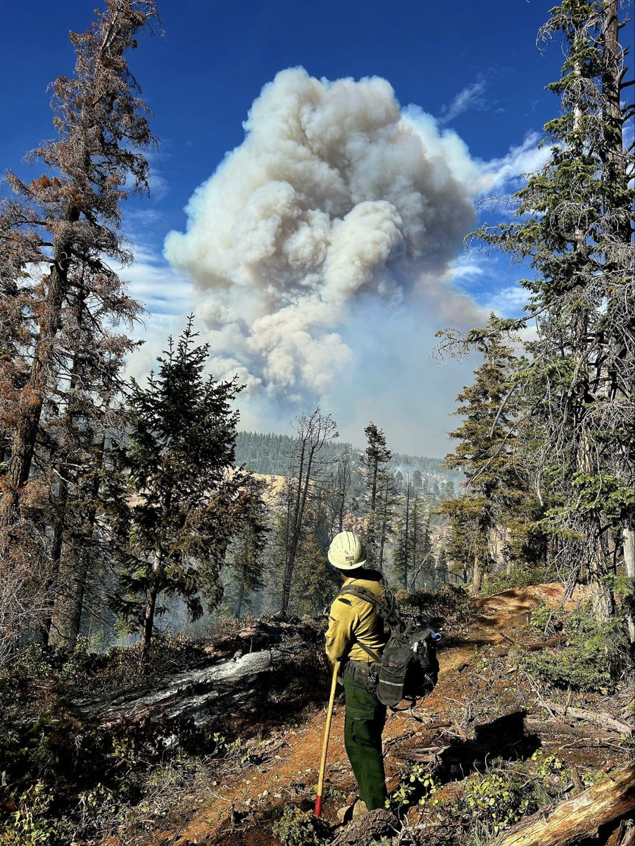 Western Edge of France Canyon Fire Remains Active; Red Flag Conditions Continue

"The France Canyon Fire continues to expand northwest under Red Flag conditions, while crews reinforce lines and prepare for a new command team to assume control...."
suindependent.com/western-edge-o…