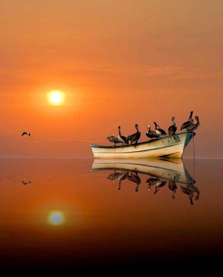 🧡