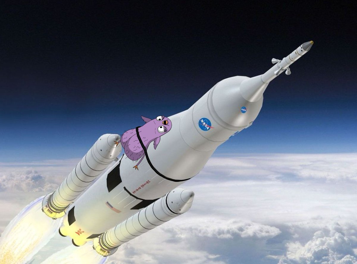 $BIGBALLZ (@bigballsalgo) on Twitter photo All the whales and bots that got in early are out, now it's time to raise the bar!💥🚀
#Algorand 
vestige.fi/asset/26862551… All the whales and bots that got in early are out, now it's time to raise the bar!💥🚀
#Algorand 
vestige.fi/asset/26862551…