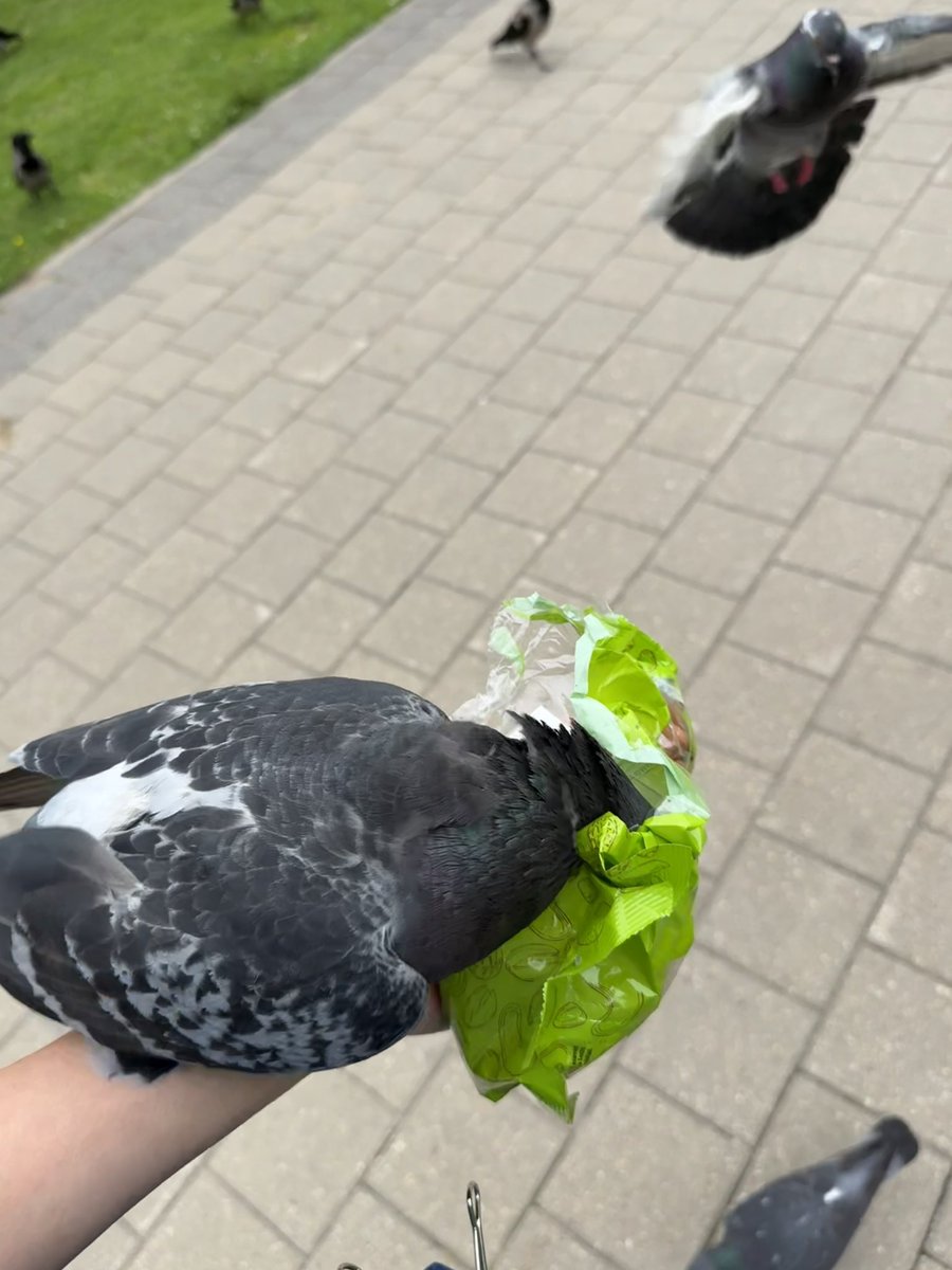 Es esmu Disneja princese.