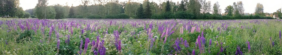 Izmirku līdz ādai, bet bija tā vērts.