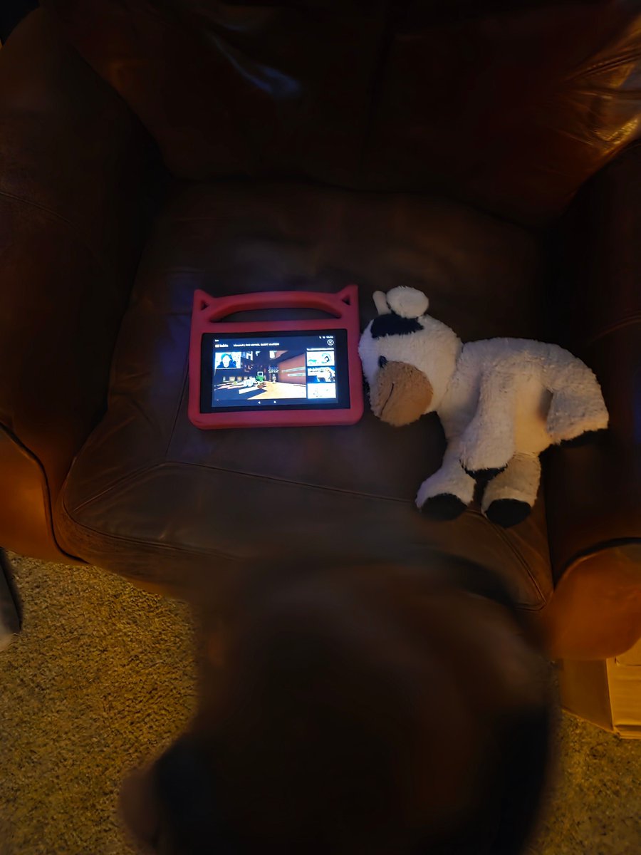 ZDDeanBooks's tweet photo. Saturday writing session status: Occupied 📚

Headphones ✓ Tablet ✓ Stuffed cow supervisor ✓

Apparently nap time is optional and daddy's office is prime real estate.

The glamorous author life continues! 😄 #SaturdayWriting #DadLife #WorkingAutho https://t.co/hHQwiXuk3s