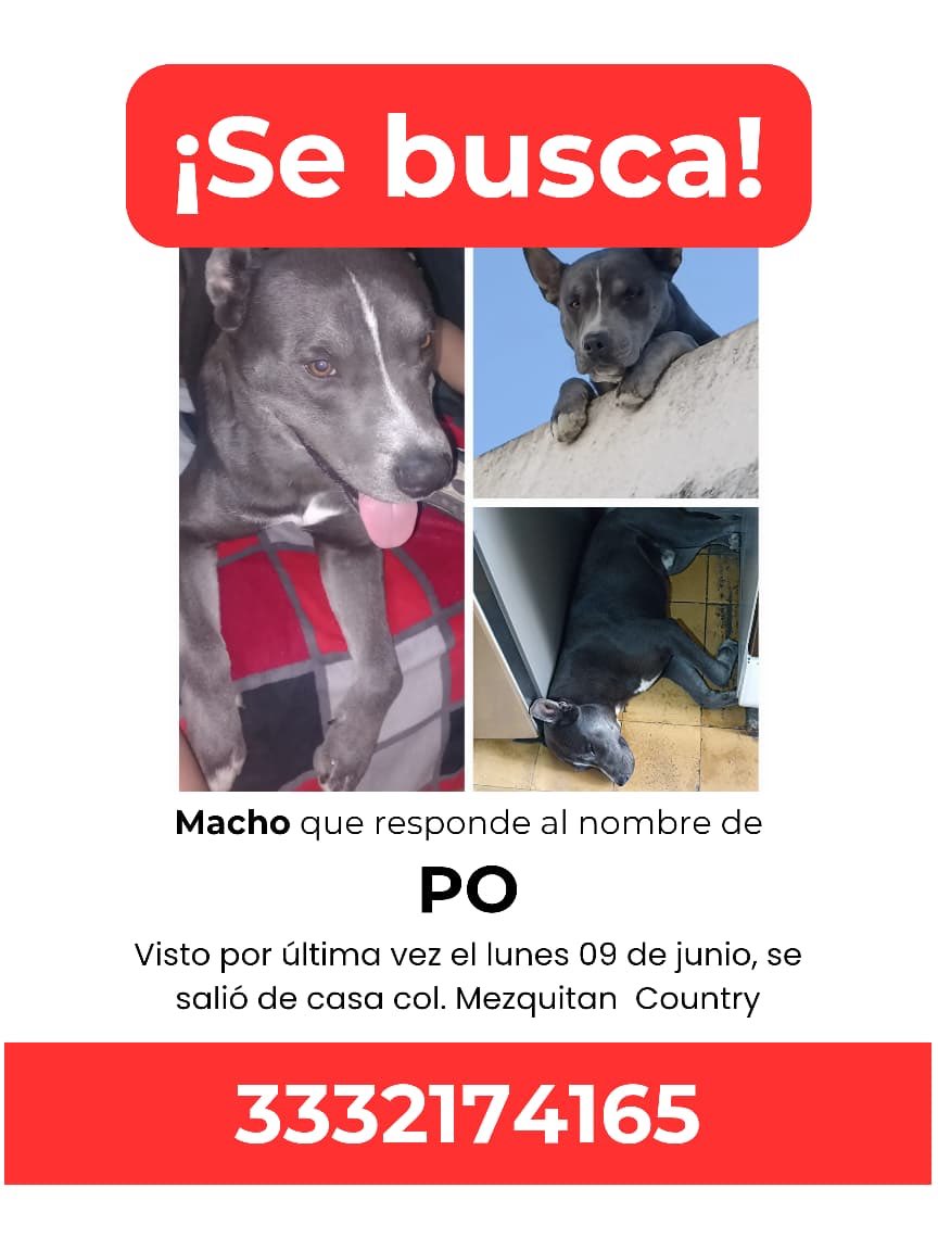 DiegoMalo25's tweet photo. Amix rn GDL, ayuda que le den RT!! https://t.co/mauLeuOPbr