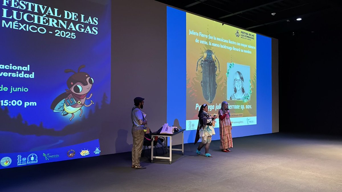 Talleres, actividades y charlas en el marco del "Festival de las luciérnagas México - 2025, en el Pabellón Nacional de la Biodiversidadad, hoy, sábado 21 de junio, ¡todavía hay tiempo!, les esperamos
