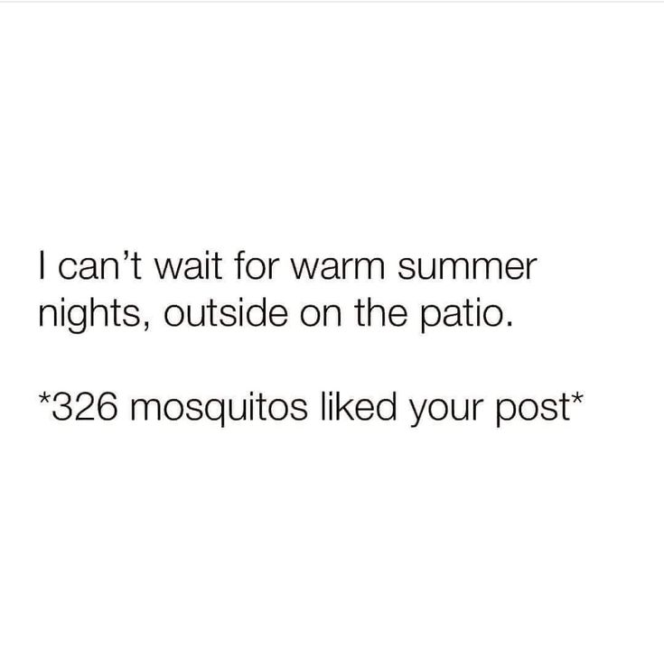 Yep . . . Seems about right 🦟