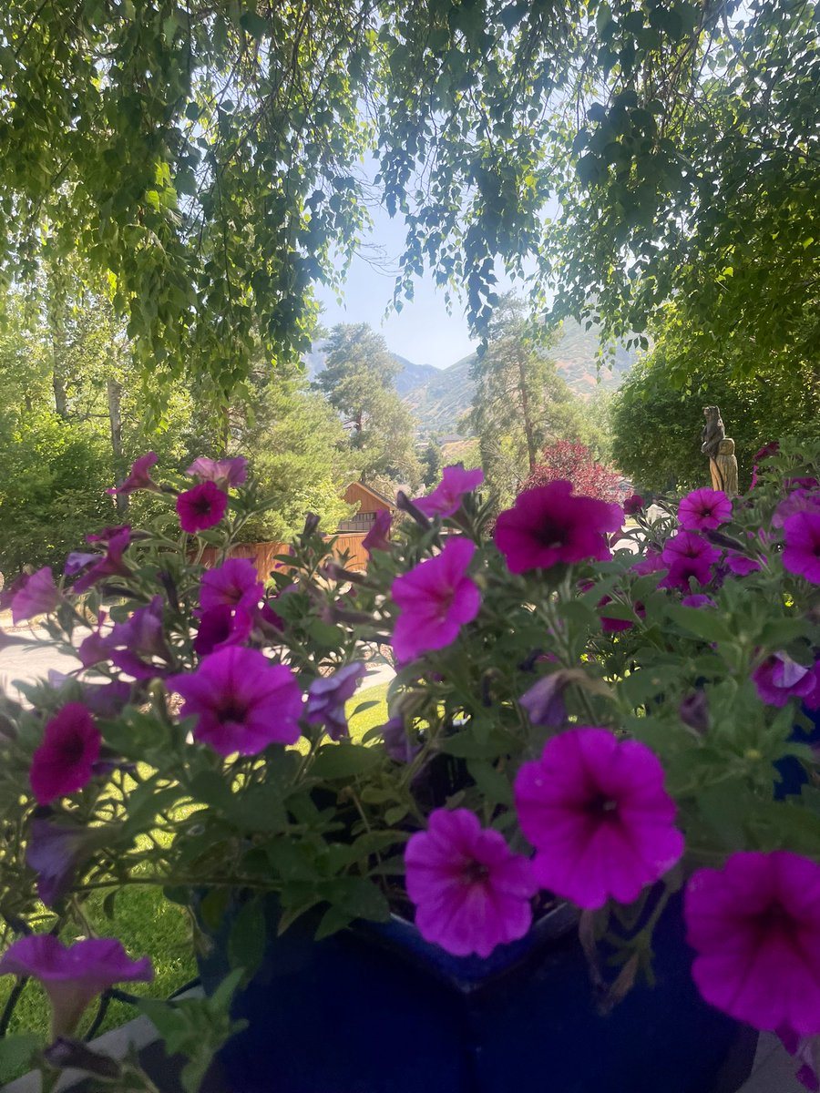 Stop and smell the flowers. 

🌺⛰️

#Utah