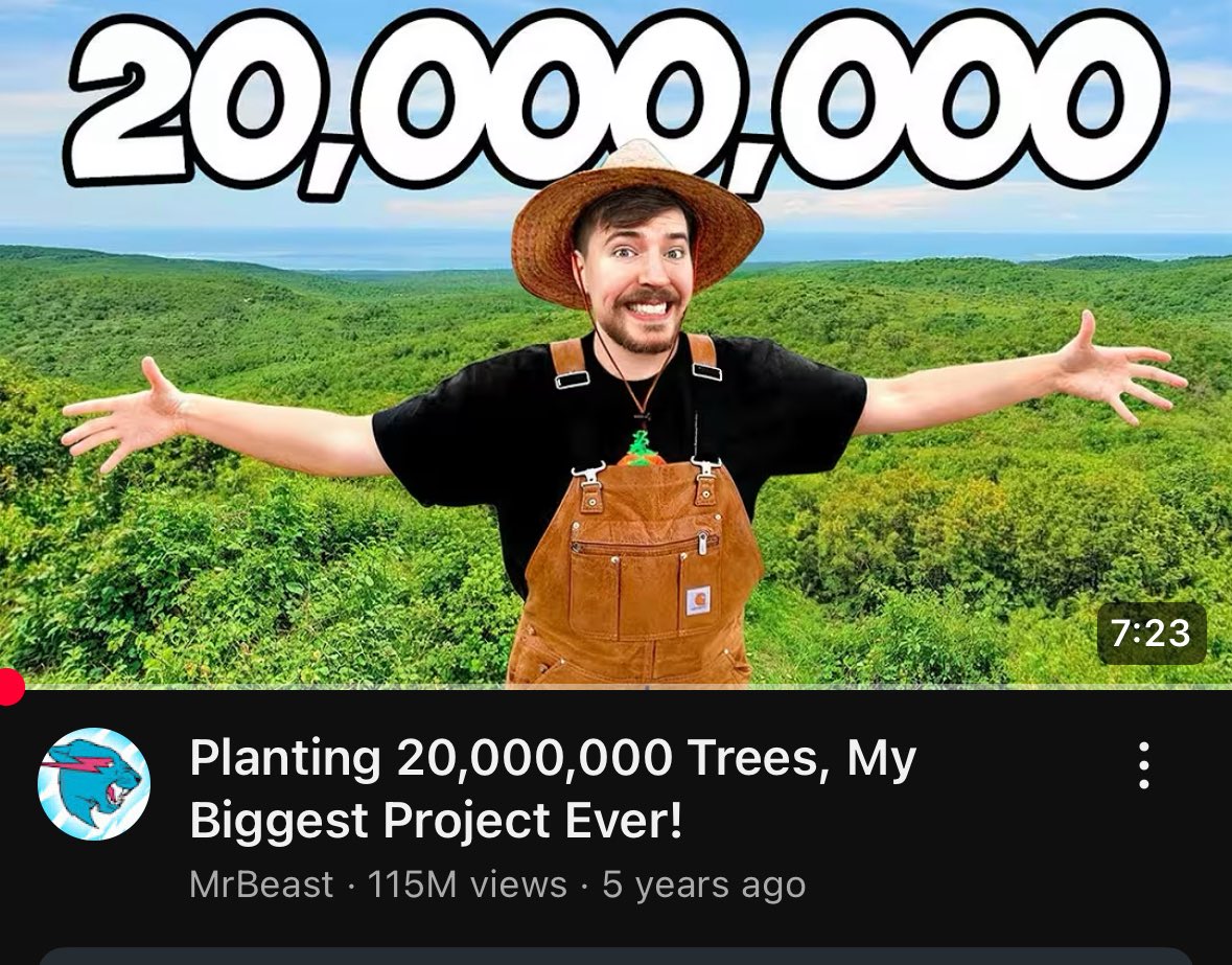So much for all those trees I guess.