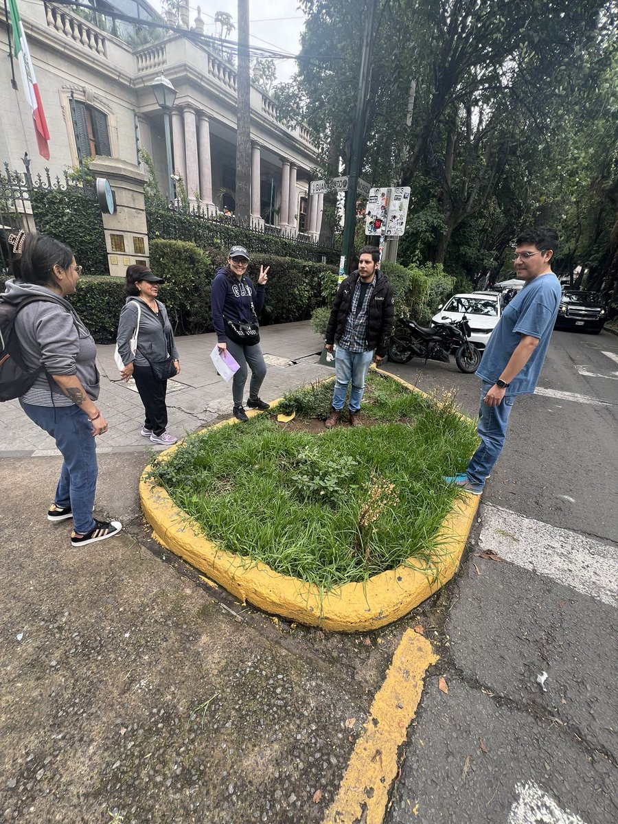 🌳🌿☘️‼️Gracias a la generosidad de #vecinos y con ayuda de la Territorial de la <a href="/AlcCuauhtemocMx/">Alcaldía Cuauhtémoc</a> ! Hoy la plaza tiene un nuevo árbol y polinizadores 🐝 enhorabuena para la <a href="/LaRomaDF/">Colonia Roma 🚲</a> ! Más verde más viva y en comunidad ! ‼️🌳🌿