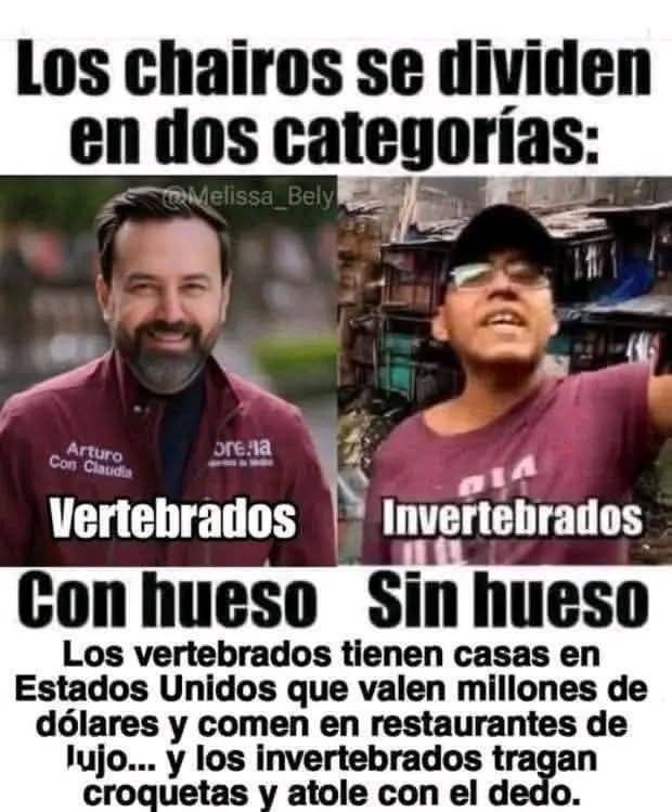 jorgeolace's tweet photo. @LOVREGA https://t.co/SBMi4qLUOp