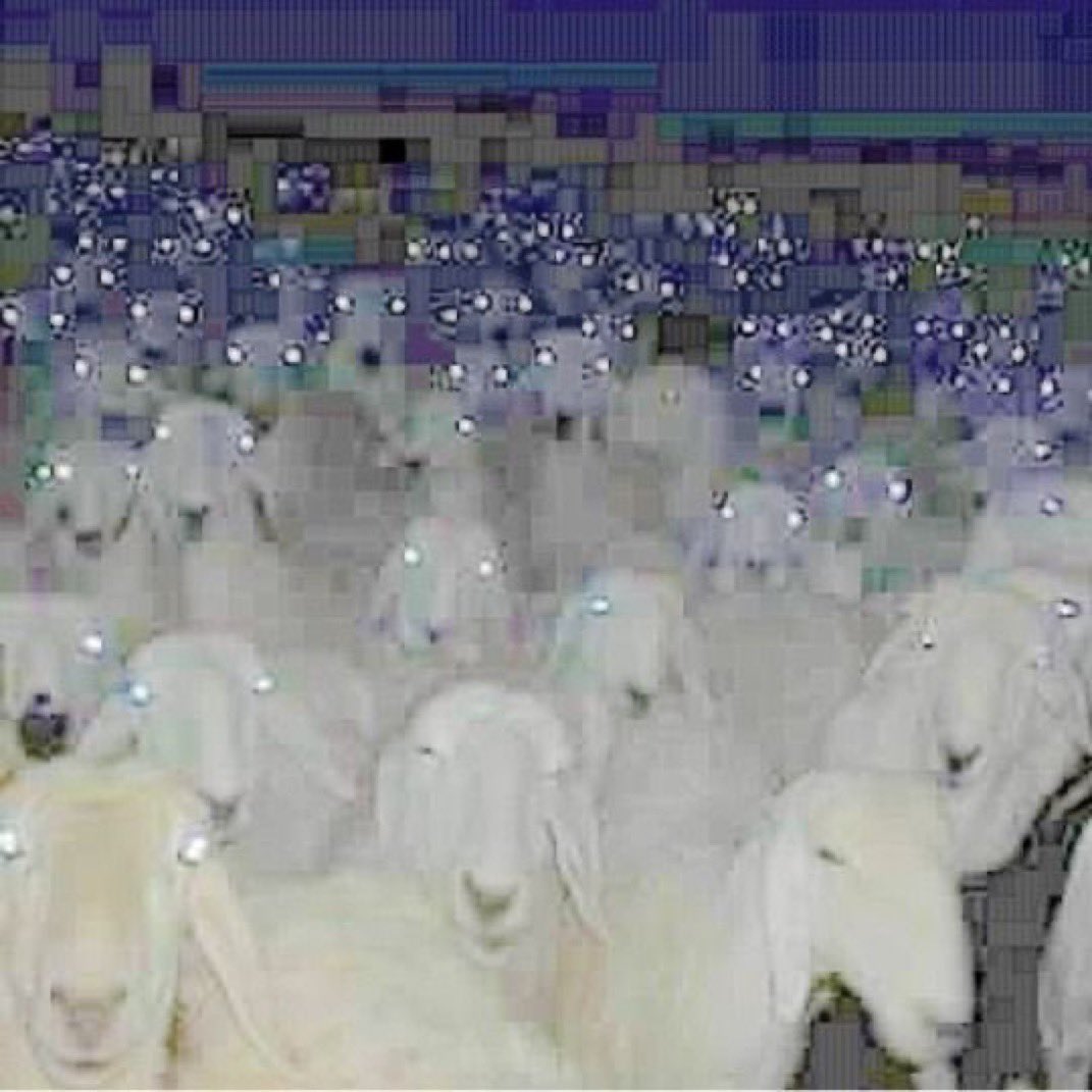 Anne Chovy tweet media