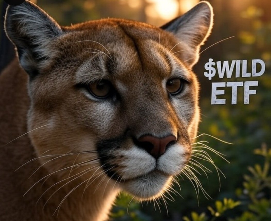 Monday will be $WILD 📈  <a href="/VistaSharesX/">VistaShares</a>