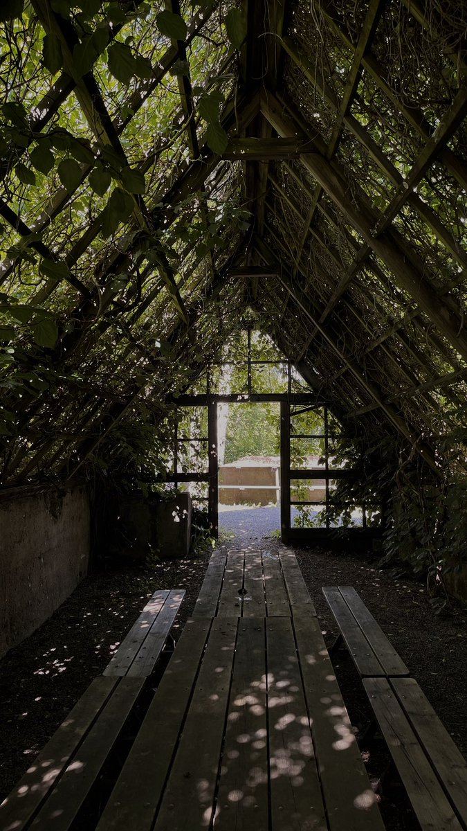 no0n_aa's tweet photo. 🌿 https://t.co/f8hmgWDXFA