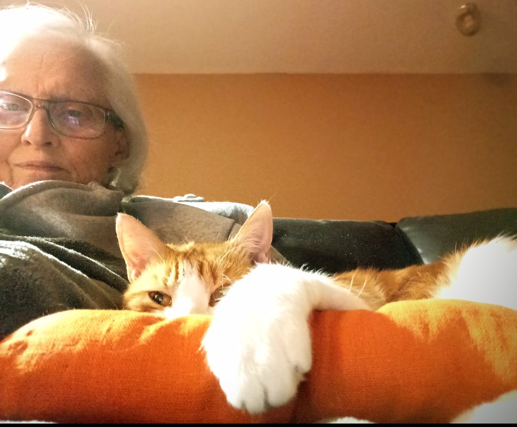 #ZSHQ <a href="/catsrule0/">Marie Choo Choo, married to Chalky</a> <a href="/dora_nlk/">Dora K</a> <a href="/parham1961/">jackie parham</a> <a href="/LBisaillon/">Chowsie</a> @bloomNight2 <a href="/marisbellamy1/">Maris Bellamy</a> <a href="/Vanessaandcats1/">Vanessa Taylor</a> <a href="/GailCarangelo/">Gail K. Carangelo</a> <a href="/MauSupercat/">House of Mau</a> <a href="/Palmolive_S_Pan/">Palmolive</a> <a href="/JennyNicholas4/">Jenny,Saffy,Tigger,Fizbo an Twerp da Canary</a> <a href="/Lindsayph6/">Lindsayph</a>
<a href="/AviwhiteGSD/">Avilovesdogsandcats❤️</a> 
Peek-a-boo