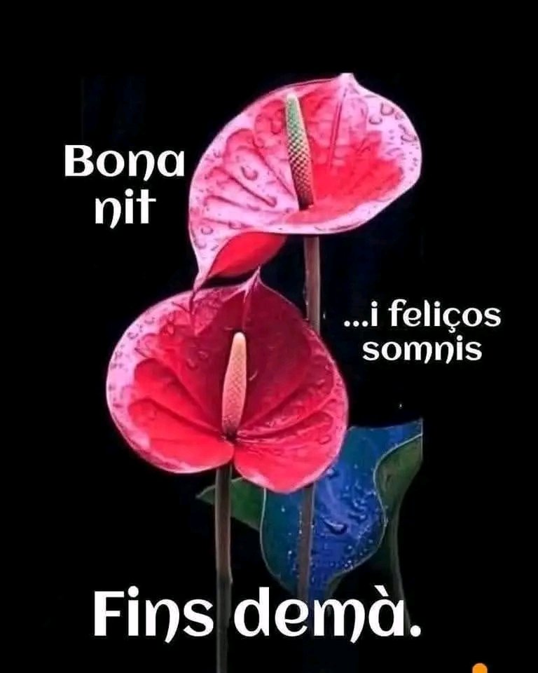 <a href="/ripollvinyals/">Maria🎗</a> Per tú María bona nit