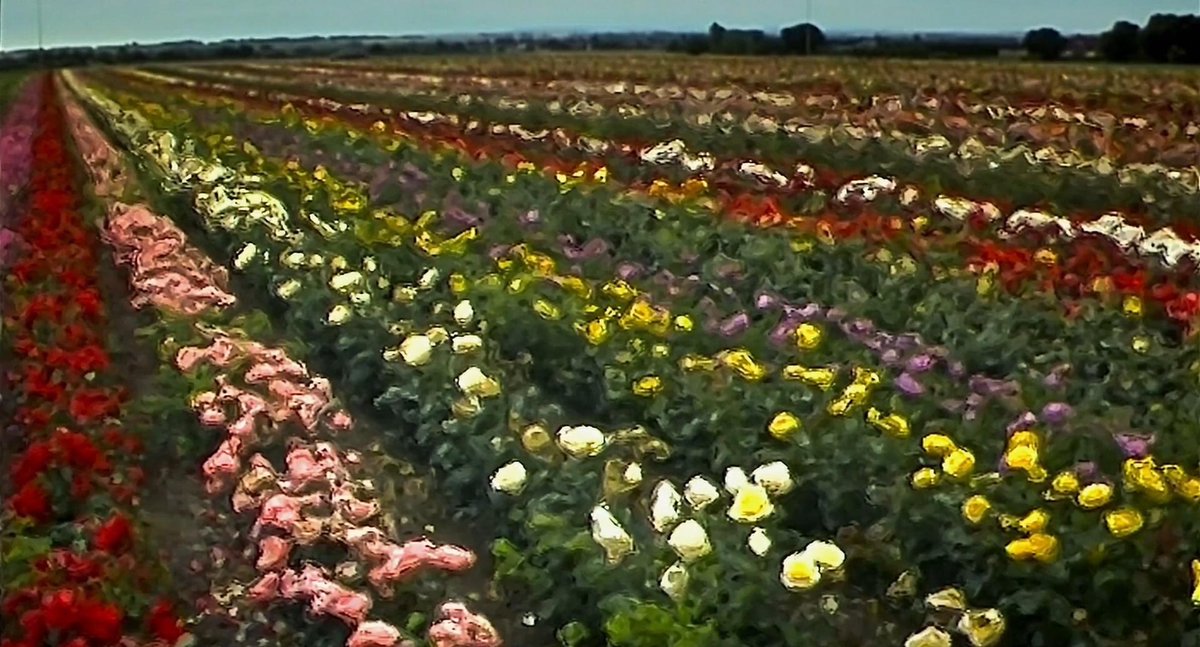 Anyone who thinks 28 Year Later was too weird compared to the first movie probably hasn't rewatched the original in a while. 28 Days Later ALSO wildly shifts tones and has an emotional core to it. And it's weirdly stylized. They drive through a painting for Christ's sake!