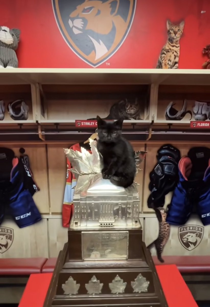 KITTY ON THE CONN SMYTHE