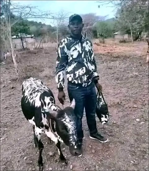 FILA ASTE (@filaa84957) on Twitter photo 