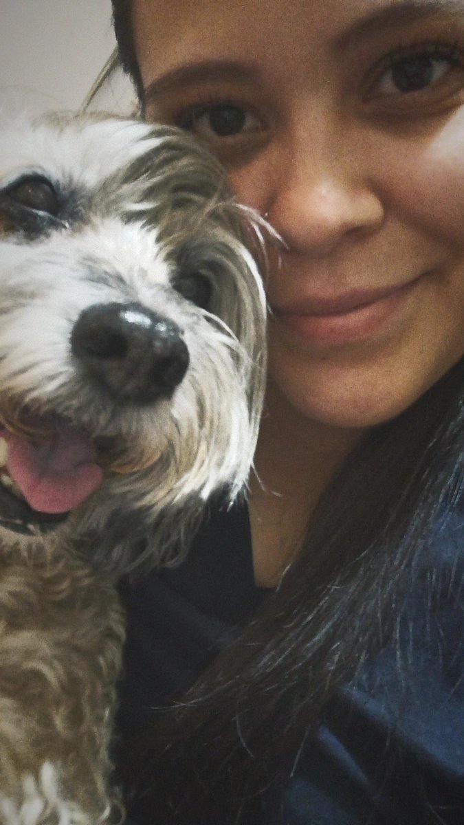DanielaFeja's tweet photo. Me da tristeza venir a casa de mis papás y ver qué pelusa esta envejeciendo 🥲 Los perritos deberían ser eternos https://t.co/TnSDYLJld7