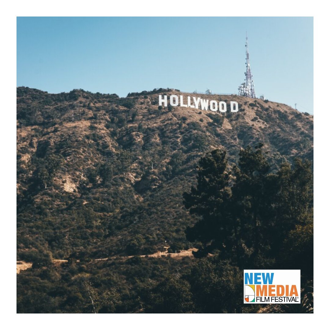 NewMediaFF's tweet image. Ready to take your pitching game to the next level? Time to step up and deliver that winning pitch! 🚀⚾️ #Pitch #Pitching #Premium #GameChanger" #Success #Motivation #GrowthMindset #PitchPerfect
newmediafilmfestival.com/submit