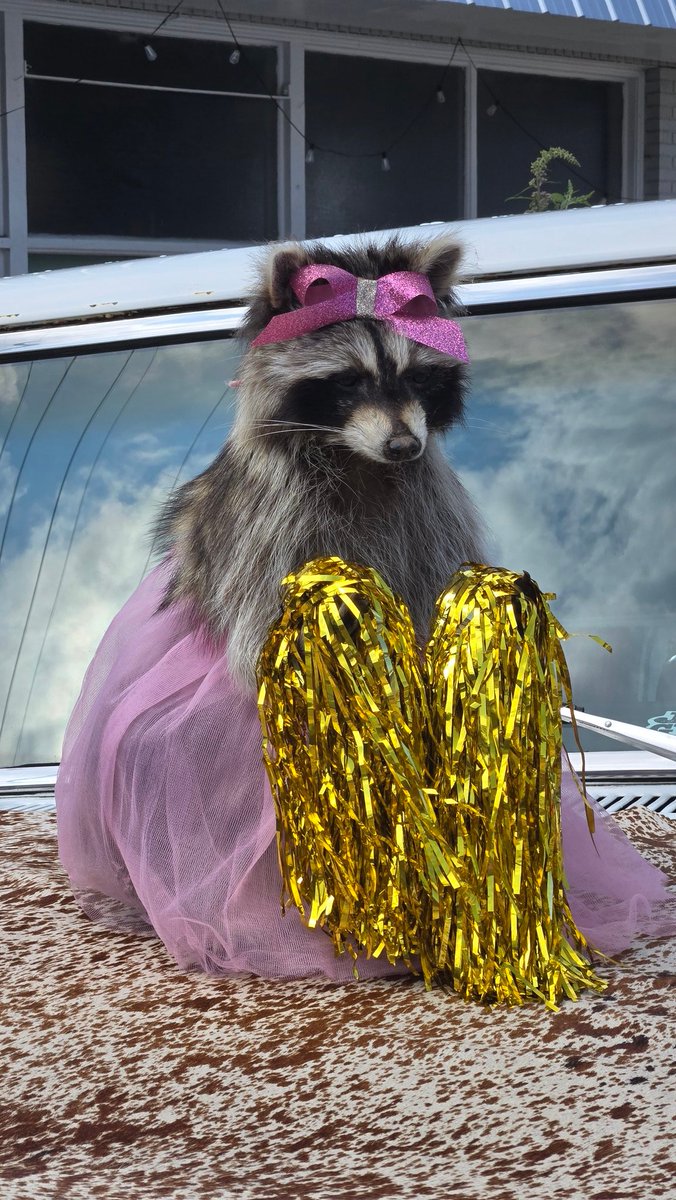 JonnyEthco (Appsro) tweet media