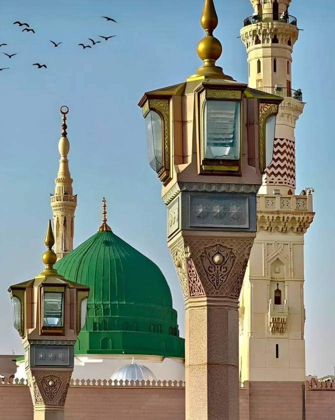 حضرت ابو ہریرہؓ فرماتے ہیں: "میں نے نبی کریم صلی اللہ علیہ وآلہ وسلم سے زیادہ حسین کوئی نہیں دیکھا، ایسا لگتا تھا جیسے سورج کی روشنی آپ ﷺ کے چہرہ مبارک سے جھلک رہی ہو۔"

(الاحسان 6276)
