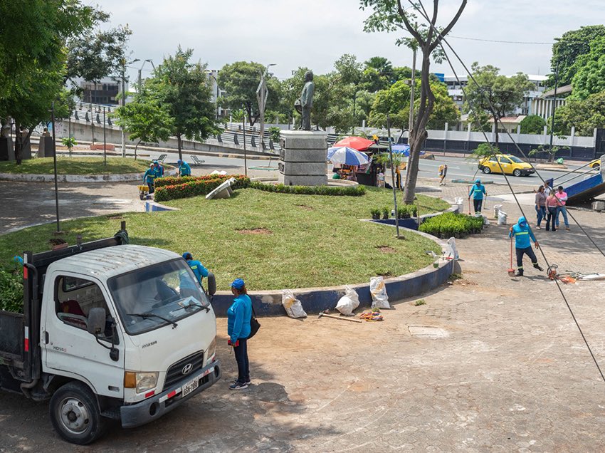GUAYAQUIL FLORECE CON MÁS ESPACIOS VERDES RENOVADOS

Más de 11.000 intervenciones agronómicas han transformado parques, avenidas y plazas de Guayaquil, recuperando su imagen y mejorando la calidad de vida urbana. La Plaza Franklin Verduga, junto a espacios como el parque Lineal