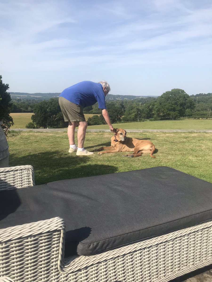 BootsThe's tweet image. After a cloudy start it really got hot! We sat in the garden with the dog, and a chicken joined us.