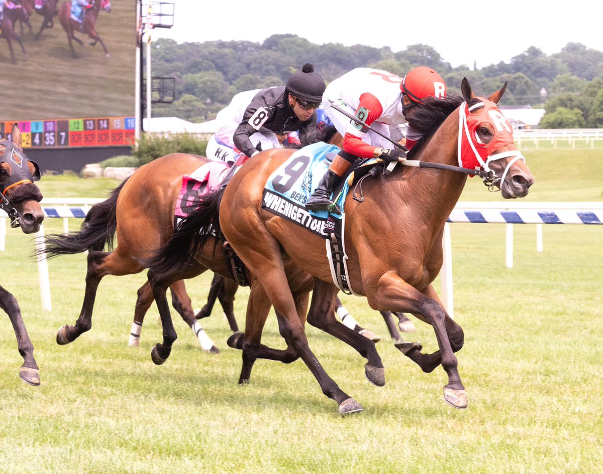 Maryland Horsemen (@mdhorsemen) on Twitter photo Whenigettoheaven, in from <a href="/EllisParkRacing/">Ellis Park Racing & Gaming</a> for trainer Nolan Ramsey, repeats in the 6F Ben’s Cat S. on turf <a href="/LaurelPark/">The Maryland Jockey Club, Inc.</a>. 6YO <a href="/MarylandTB/">Maryland Thoroughbred</a> gelding by Street Magician ridden by J.G. Torrealba for <a href="/Ramsey_Farm/">Ramsey Farm</a>. Clears $300K in earnings. (Jim McCue 📷) Whenigettoheaven, in from <a href="/EllisParkRacing/">Ellis Park Racing & Gaming</a> for trainer Nolan Ramsey, repeats in the 6F Ben’s Cat S. on turf <a href="/LaurelPark/">The Maryland Jockey Club, Inc.</a>. 6YO <a href="/MarylandTB/">Maryland Thoroughbred</a> gelding by Street Magician ridden by J.G. Torrealba for <a href="/Ramsey_Farm/">Ramsey Farm</a>. Clears $300K in earnings. (Jim McCue 📷)