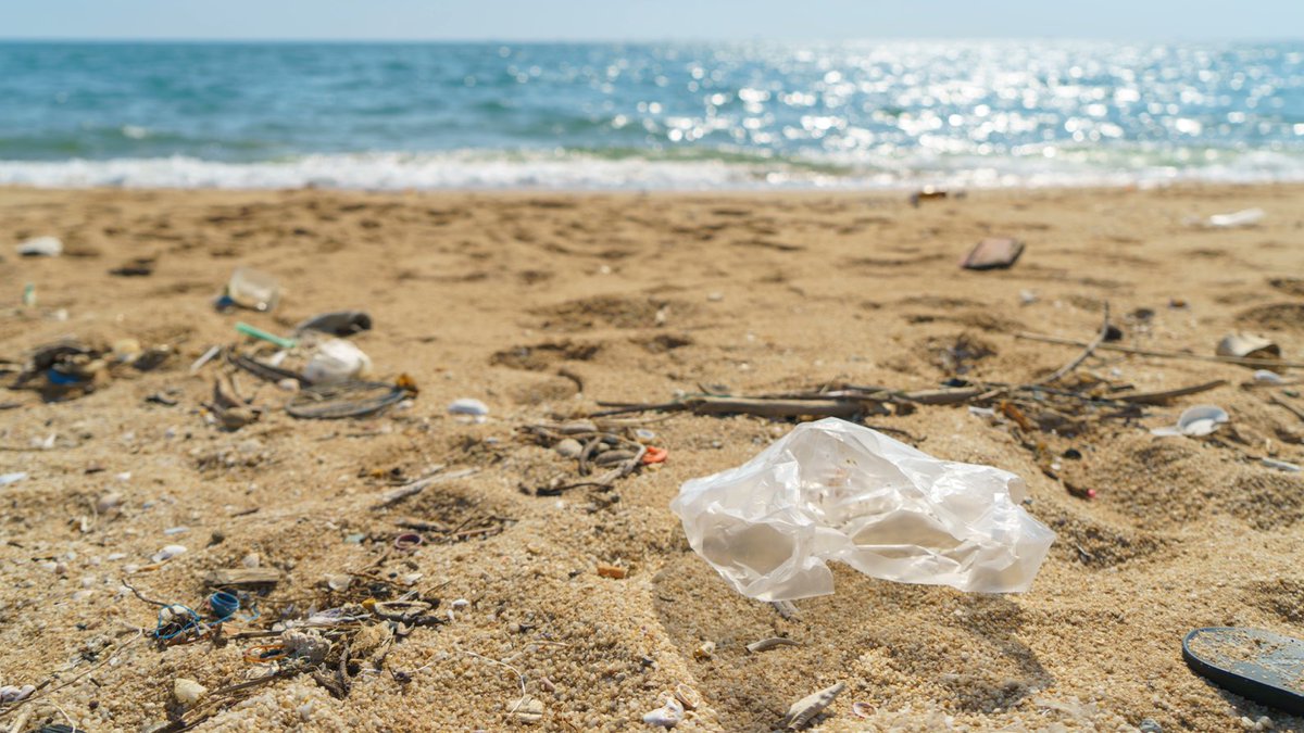 MarioNawfal's tweet photo. 🚨🇺🇸 BAG BAN WINS: SCIENCE PROVES LESS PLASTIC, LESS MESS

Think banning plastic bags doesn’t matter? Think again.

A massive new study shows beach litter dropped by up to 47% in U.S. areas with plastic bag bans or fees -compared to places that did nothing and stayed trashy.

Researchers dug into data from 45,000+ shoreline cleanups across 7 years and matched it with hundreds of local bag policies.

Statewide bans hit hardest, especially where litter was already a problem. 

Half-bans? Not nearly as effective.

No, bans won’t stop plastic pollution alone - but they clearly work, and better than vibes-based environmentalism.

Source: Popular Science
