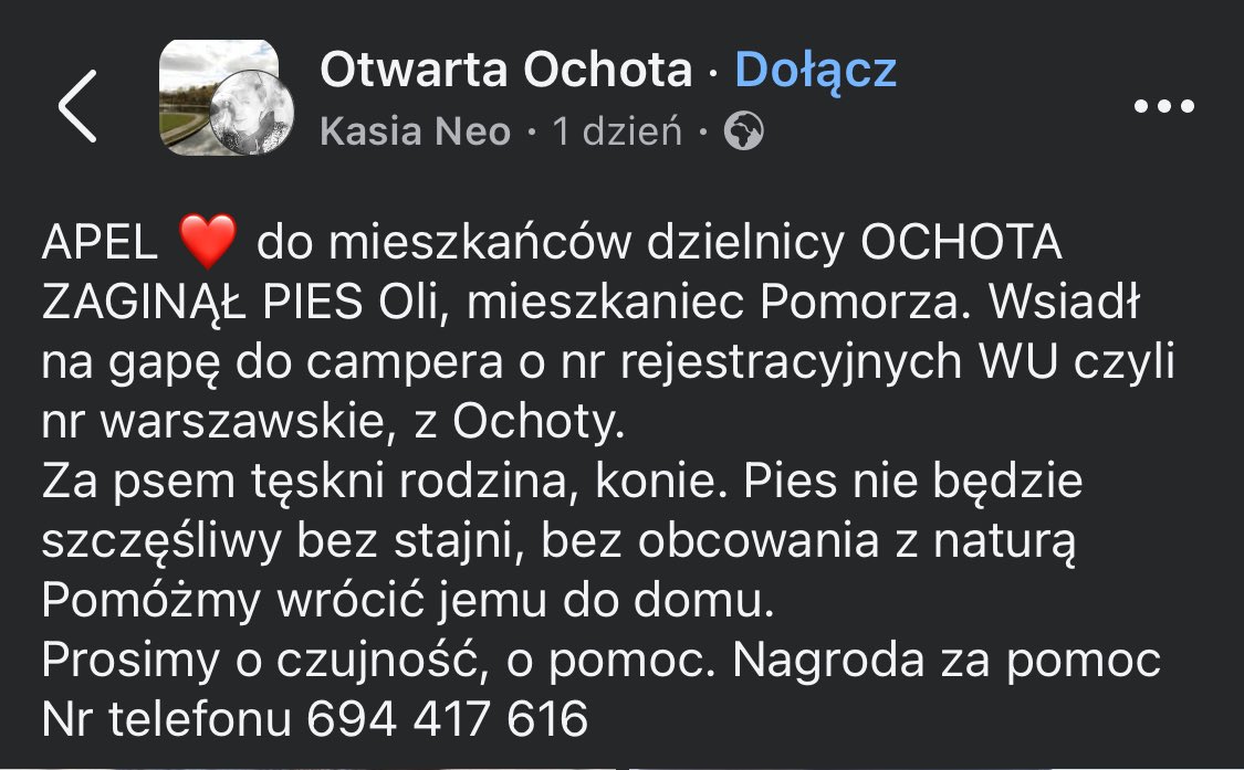 ❗️WARSZAWA. Auto z rejestracją WU - czyli Ochota. ZAGINĄŁ PIES Oli, mieszkaniec Pomorza. Wsiadł na gapę do campera o nr rejestracyjnych WU.
Za psem tęskni rodzina, konie. Pies nie będzie szczęśliwy bez stajni, bez obcowania z naturą.Prosimy o czujność, o pomoc. ☎️694 417 616