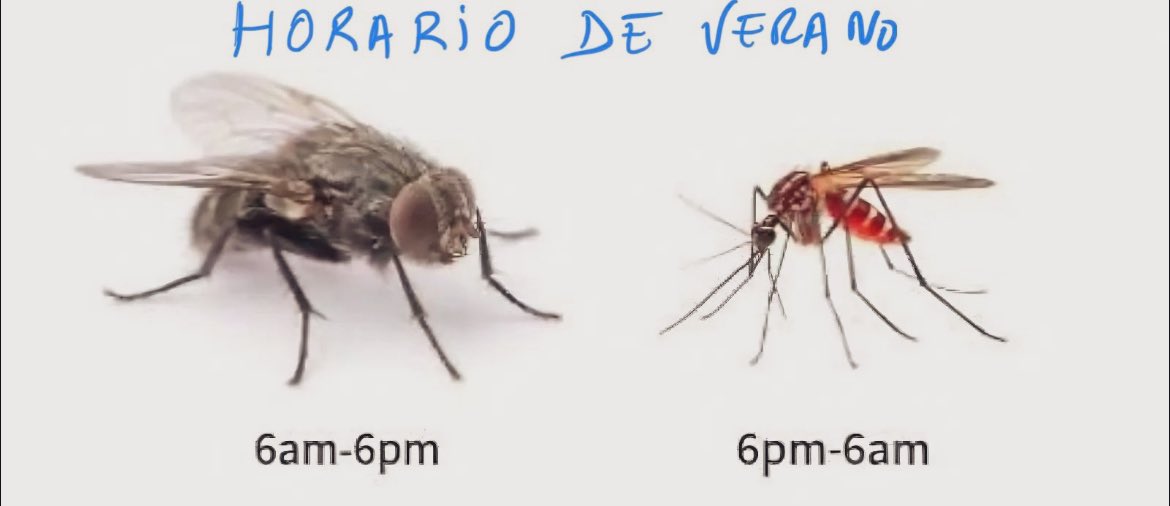 Queda inaugurado el #verano