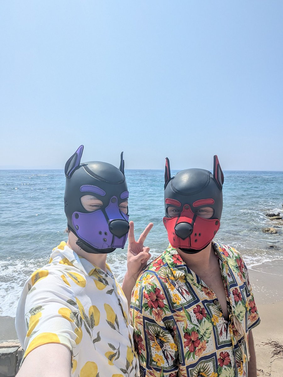 Sun is too bright 
♥️- <a href="/DEERB__/">bingo da deer</a>