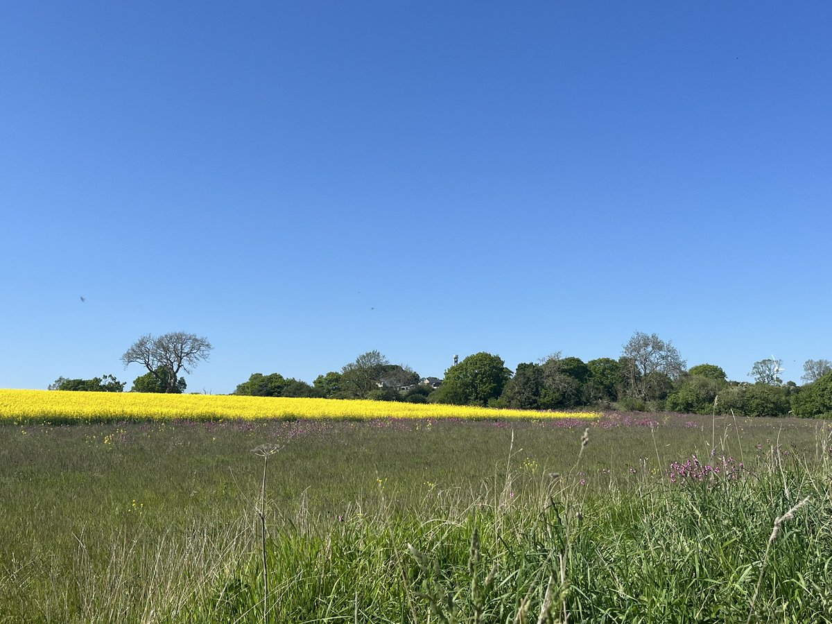 ☀️MIDSUMMER DAY☀️

Midsummer (or Midyear) is a holiday here in Dunland all about celebrating and enjoying all the joys summer brings!

A glad midsummer to all! 🍻😎

#Micronations #SummerSolstice2025