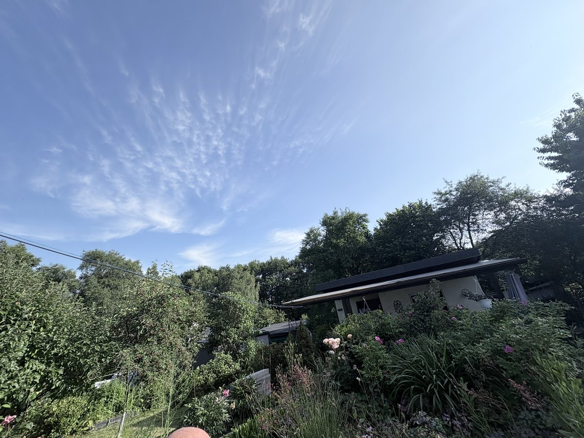 ScimonUK's tweet image. It was a glorious day—worth every sneeze and watery eye from the hay fever. I took time to admire the sky above and the trees around me. A blackbird has even built a nest in our cherry tree. Nature wins today. ❤️🌳🐦 #NatureLover #SpringDays