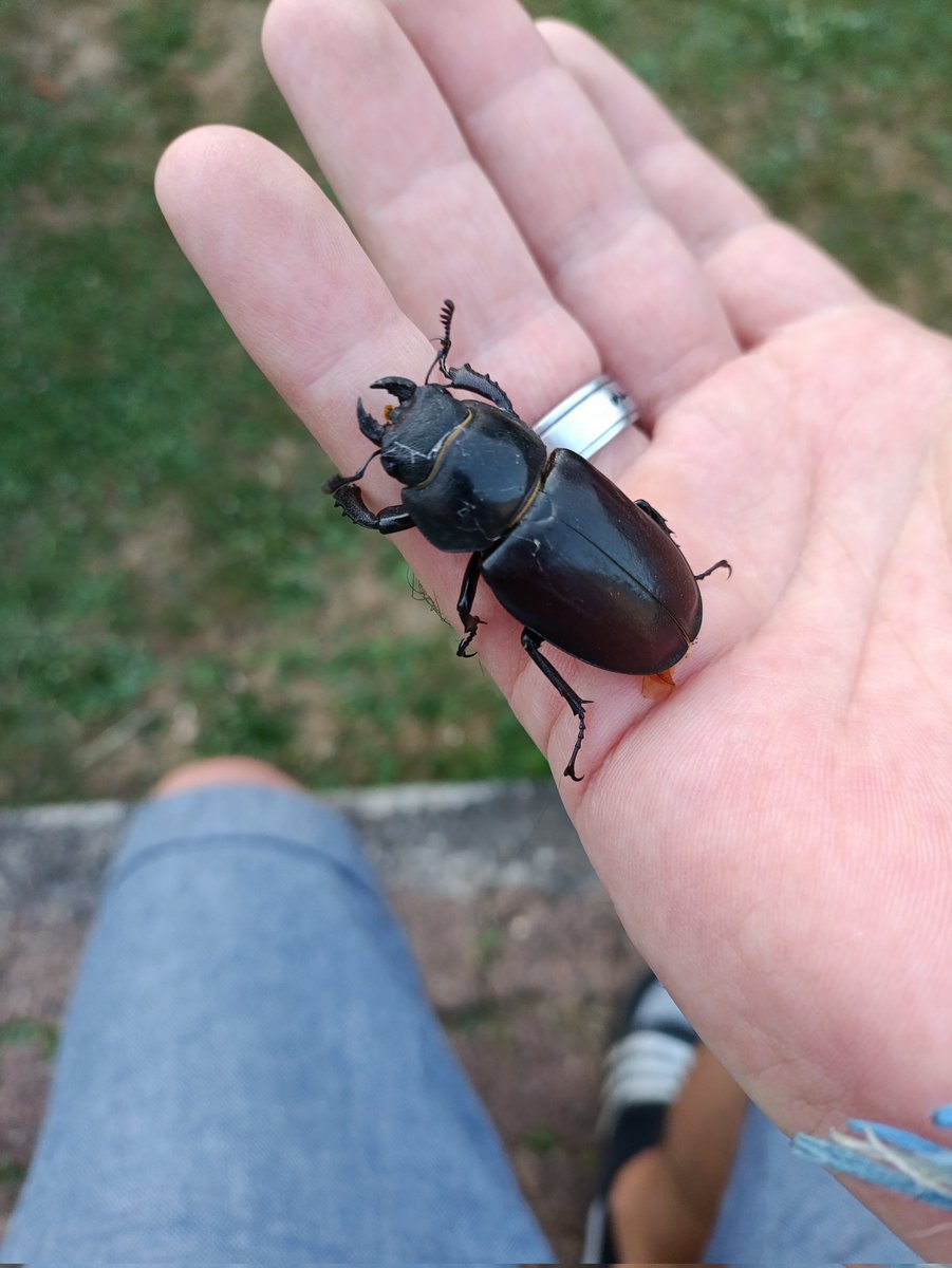 Combien de clochettes à votre avis? 😁