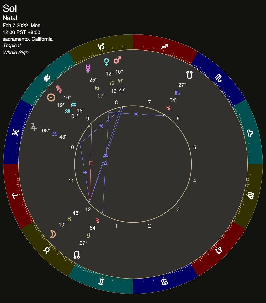 stormthemartian's tweet image. yesterday we adopted a saturnian dog, while saturn is my timelord, transiting my 6H, during my 6H monthly profection, with saturn/N6H angular in my MR

we adopted him during the solstice and we named him Sol 🤍