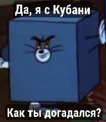 Егор (@graypfruit) on Twitter photo 