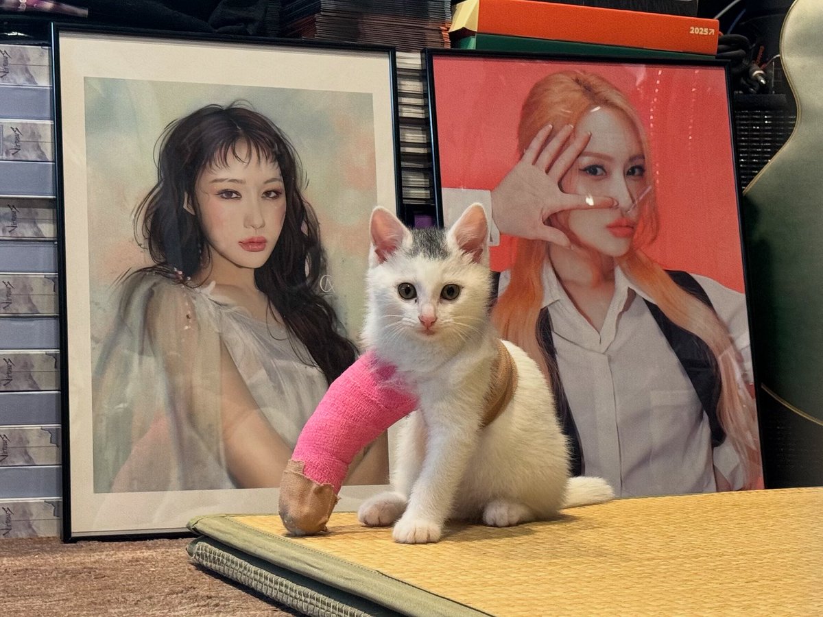 Captain WekWek and Wekie