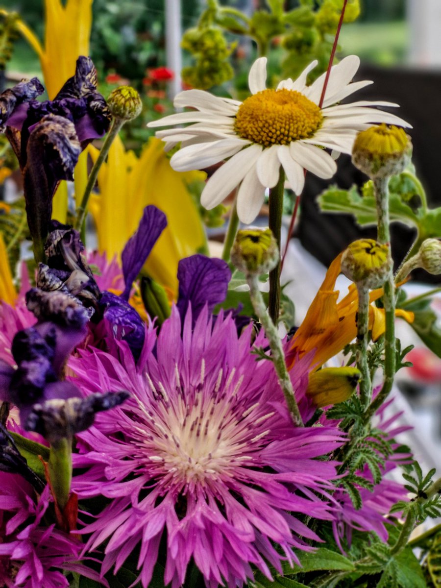 Lise-Lotte Finell 🍀 tweet media