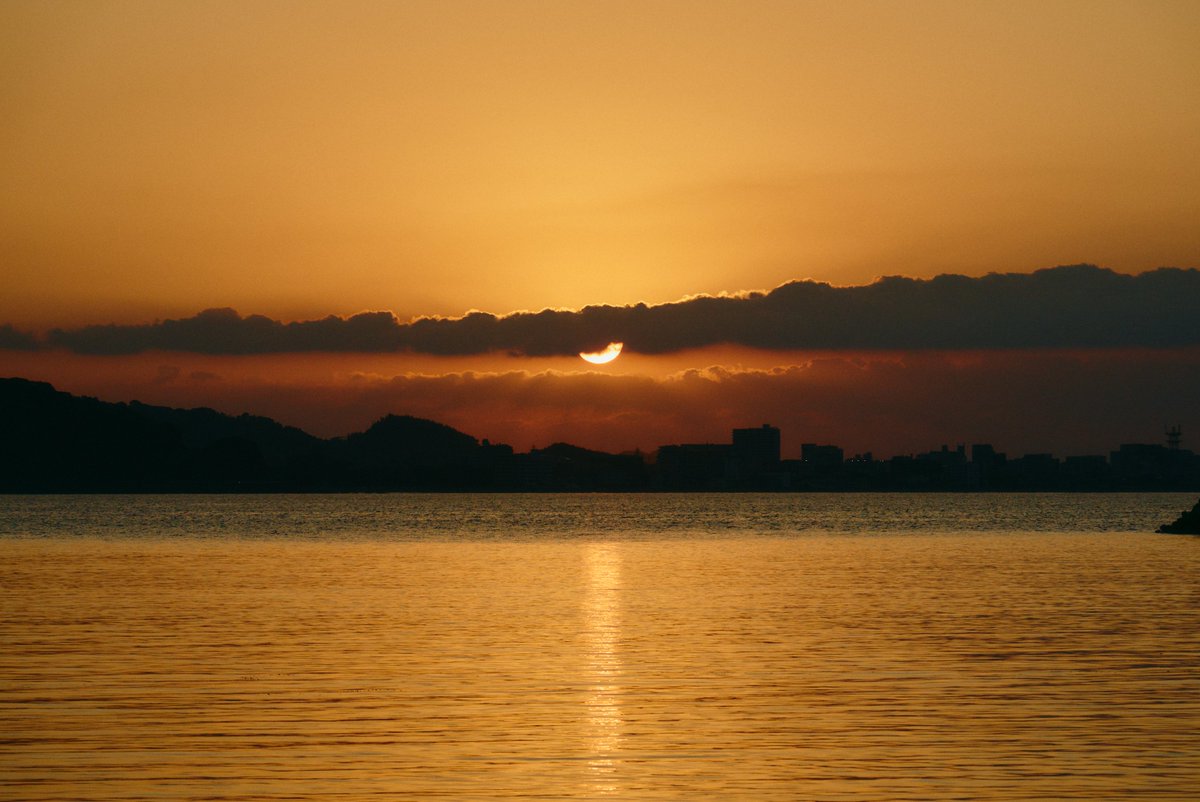 A Walk in the Morning