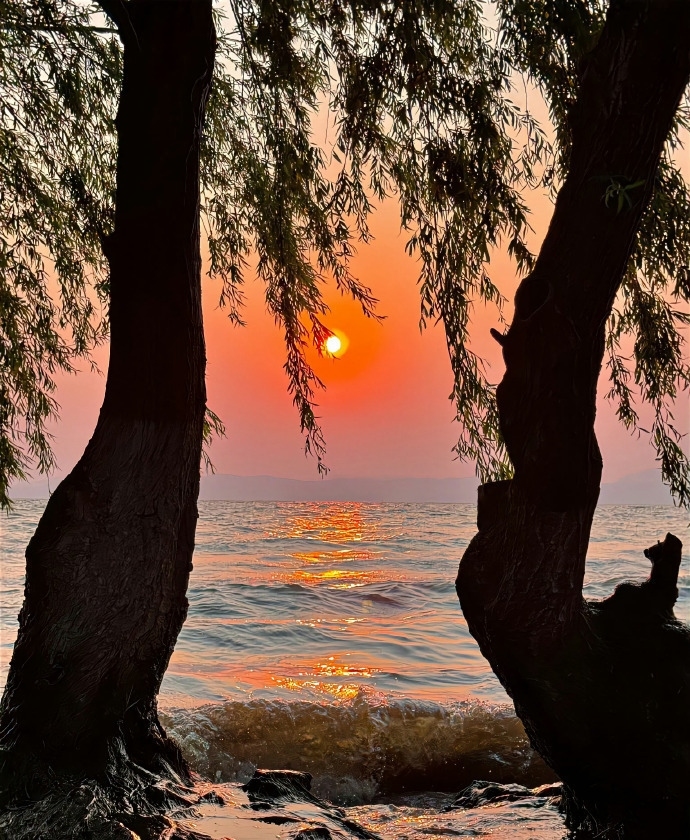 HannahLizz30258's tweet photo. 落日温柔浸染海面，一片橘色霞光，温暖而宁静。 https://t.co/0SP6MmaEzJ