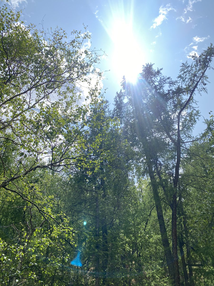 Гэгээн сайхан өглөөний мэндийг
Та бүхэндээ хүргэе🌅
           Инээж байгаа хүн 😊
Мандаж байгаа нар хоёр үргэлж дулаахан байдаг☀️