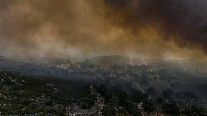 HRS4NTOS's tweet image. 🔥Elementos del Ejército mexicano se suman a las labores de control y extinción de dos #incendios activos en #Tecate, Baja California.
🚒🌫️ Autoridades trabajan para contener el avance del fuego y proteger a la población.