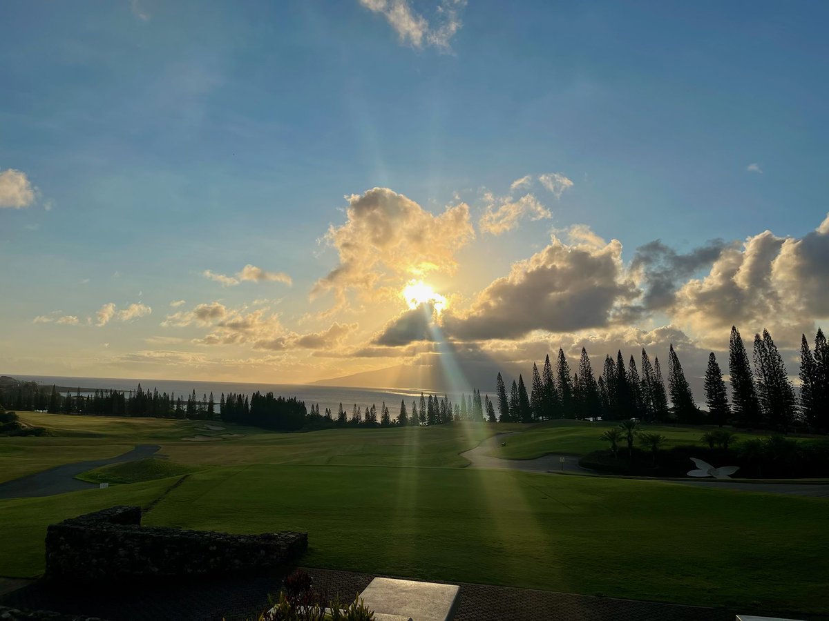 Matt Kearns tweet media