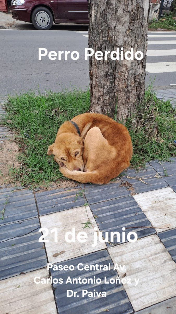 Karen Forcado ♥️🇵🇾🚩 (@forcadokaren) on Twitter photo 